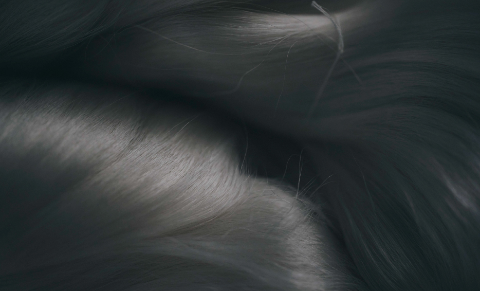 「富岡シルク」の未来